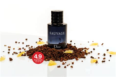 dior sauvage smell chart|does Dior Sauvage smell good.